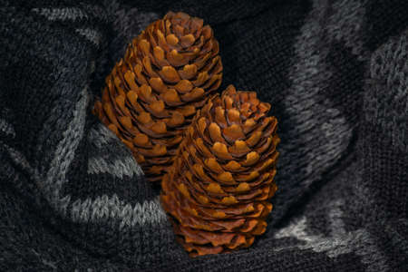 Two Christmas cones on a gray background.の写真素材