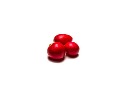Red radish isolated on a white background 2の写真素材