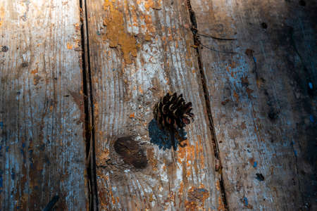 Pine cone on old boards for the backgroundの写真素材