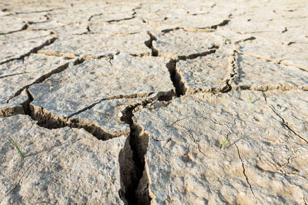 Close up of arid fields in summerの写真素材
