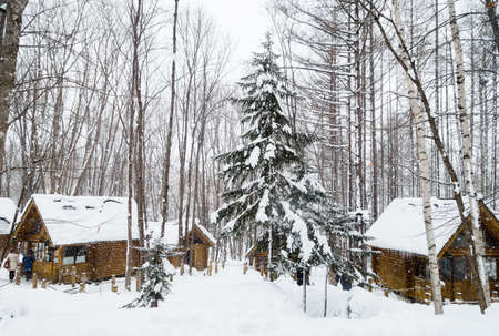 Snow-covered forest cabins during the day in Furano, Hokkaido, Japanのeditorial素材