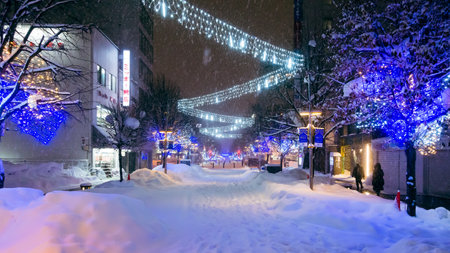 Snowy Asahikawa street city night view decorated with LED lightsの写真素材