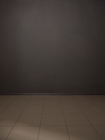Grey-coloured background in studio. Wall with rosettes. Studio shot.の写真素材