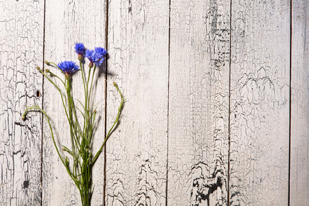 Blue flowers, summer wildflowers bouquet on white wooden background, copy space.の写真素材
