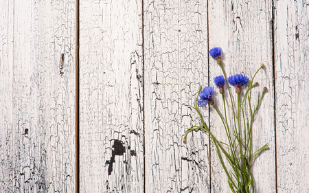 Cornflowers, flowers on wood, summer flowers on wooden backgroundの写真素材