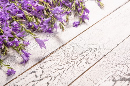 Lilac flowers on vintage wooden background with copy space for text.の写真素材