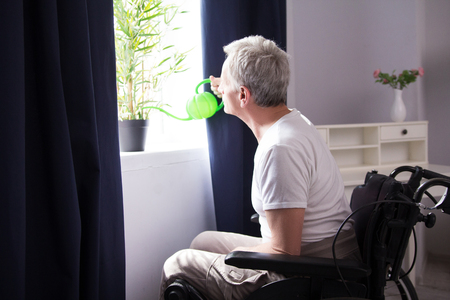 Man in wheelchair watering plants. Elderly disabled man with gray hair watering his plant on window sell while sitting in wheelchair.の写真素材