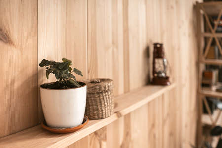 White pot with ivy plant and wicker box on wooden shelf. Retro lantern on blurred background. Wooden wallpaper panels. High quality photo.の写真素材