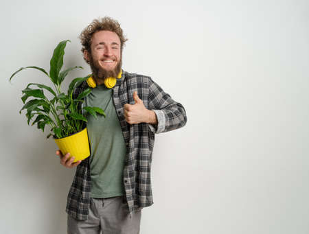 Young handsome bearded man holding yellow flower pot with plant in it dressed in plaid shirt and yellow headphones on his neck isolated on white background. Moving concept.の写真素材