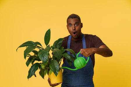 Happy African man using watering can to splash water on home flower with copy space on yellow background. Concept for nature, plant care, and gardening. High quality photoの写真素材