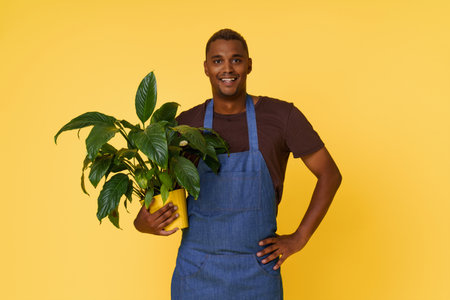 African American gardener holding a home flower on a yellow background. A concept for product placement and advertising. High quality photoの写真素材