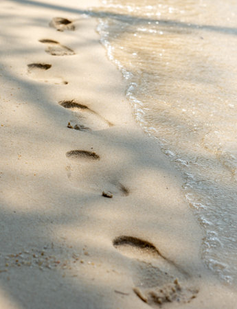 Footprints in sand at the edge of the sea