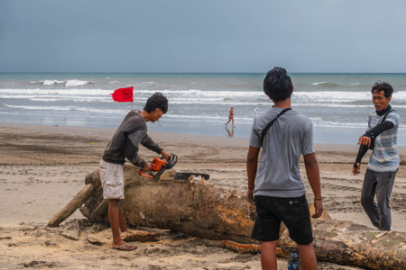 Man Using Chainsaw on Driftwood Log at Bali Beach