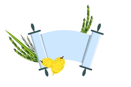 Jewish holiday Sukkot. torah with Lulav, ,Etrog, Arava and Hadas. Four species symbols date palm, citron, willow, myrtle illustrationのイラスト素材