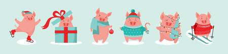 Collection of cute winter pigs. New 2019 year. Symbol of the year in the Chinese calendar. Vector cartoon isolated illustration. Year of yellow pig. Vector illustrationのイラスト素材