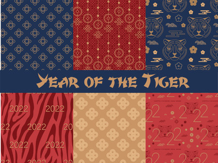 chinese pattern collection for Lunar new year 2022 year of the tiger . Lunar new year concept, modern abstract background design. Decorative wallpaper.のイラスト素材
