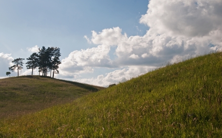 Pine trees on the hill with the clouds on the blue skyの写真素材