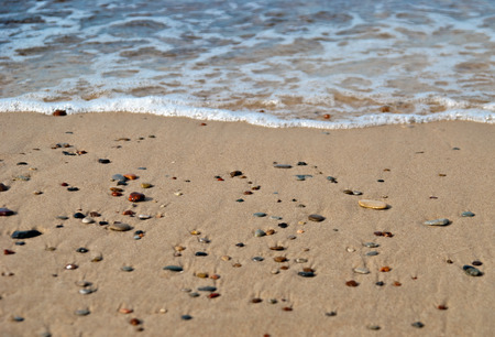Baltic seashoreの写真素材