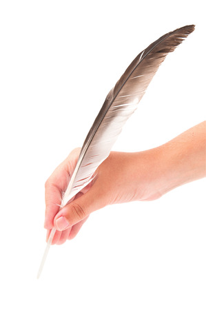 Feather in handの写真素材