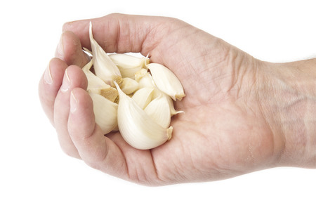 Pieces of garlic in handの写真素材