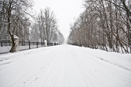 Fence in winter parkの写真素材