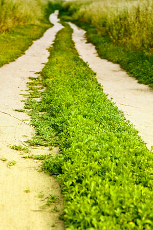 Trail in meadows の写真素材