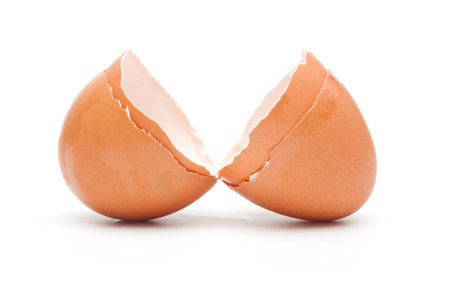 Egg shellの写真素材
