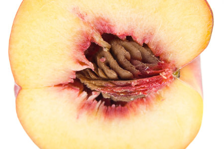 Half peach closeup