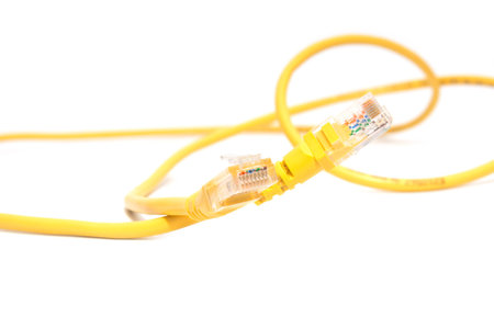 Network cables on white background