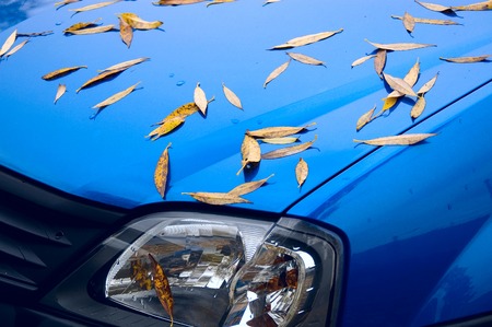 Car with autumn leavesの写真素材
