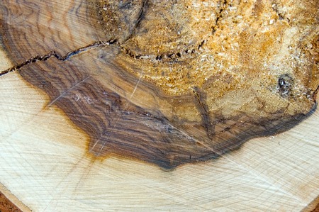 Wood backgroundの写真素材