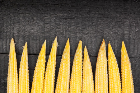 Raw sweet corns on wooden backgroundの写真素材