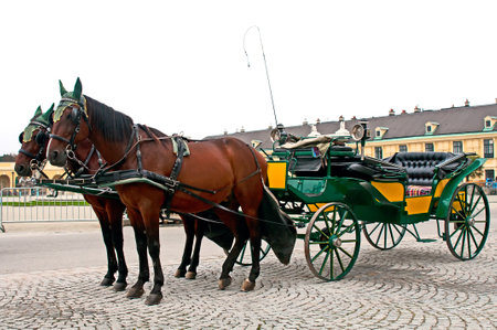 Old-fashioned fiacre at the Schonbrunn palace in Vienna, Austriaのeditorial素材