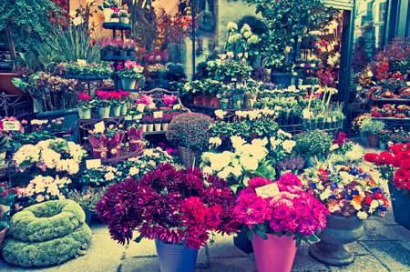 Colorful flowers in a flower shopのeditorial素材