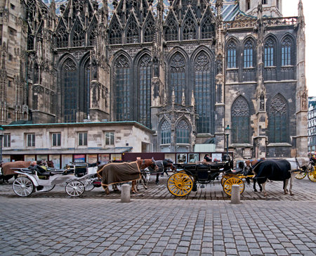 Traditional old-fashioned fiacres at Stephansplatz of Vienna, Austria. Stephansplatz is the most popular square in the cityのeditorial素材
