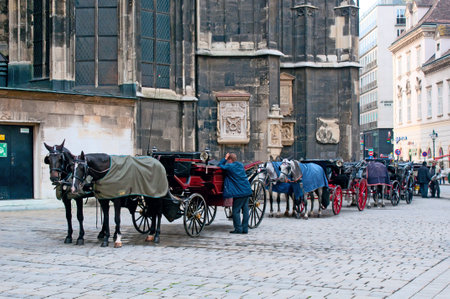 Traditional old-fashioned fiacres at Stephansplatz of Vienna, Austria. Stephansplatz is the most popular square in the cityのeditorial素材