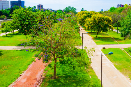 View on Turia garden in Valencia, Spainの写真素材
