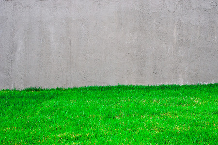Green grass and grey wallの写真素材