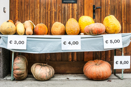 Pumpkins for saleの写真素材