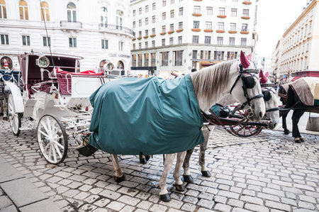 Traditional old-fashioned fiacres at Michaelerplatz near Hofburg of Vienna, Austria.のeditorial素材