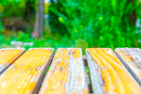 Yellow wooden planks with blurred green foliage