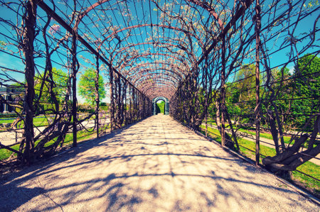 An arch view at Schonbrunn Palace in Vienna, Austriaのeditorial素材