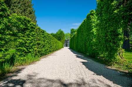 VIENNA, AUSTRIA - APRIL 23, 2016: Perspective view of Garden at Schonbrunn Palaceのeditorial素材