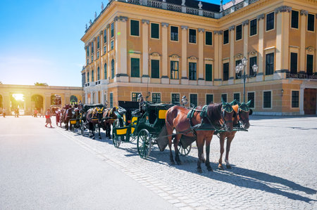 VIENNA, AUSTRIA - JUNE 07, 2017: Traditional old-fashioned fiacres in Schonbrunn Palaceのeditorial素材