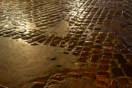 Wet cobblestone after the rainの写真素材