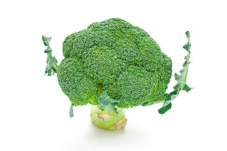 Broccoli close up isolated on white backgroundの写真素材