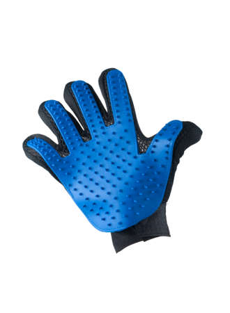Blue glove for pet grooming isolated on white backgroundの写真素材