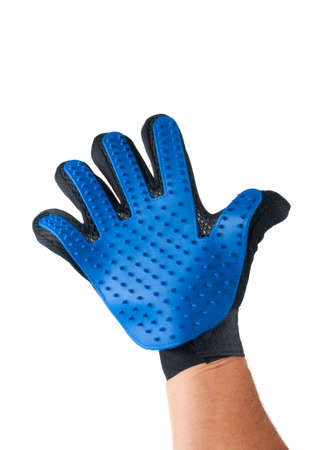 Hand with glove for pet grooming on white backgroundの写真素材
