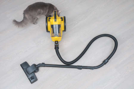 Vacuum cleaner and curious cat on a wooden floorの写真素材