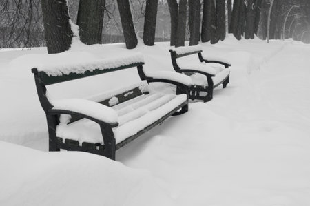 Empty wooden benches in a winter parklandの写真素材